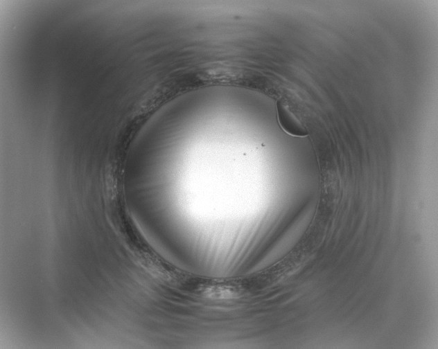 X0000075330751200609292008