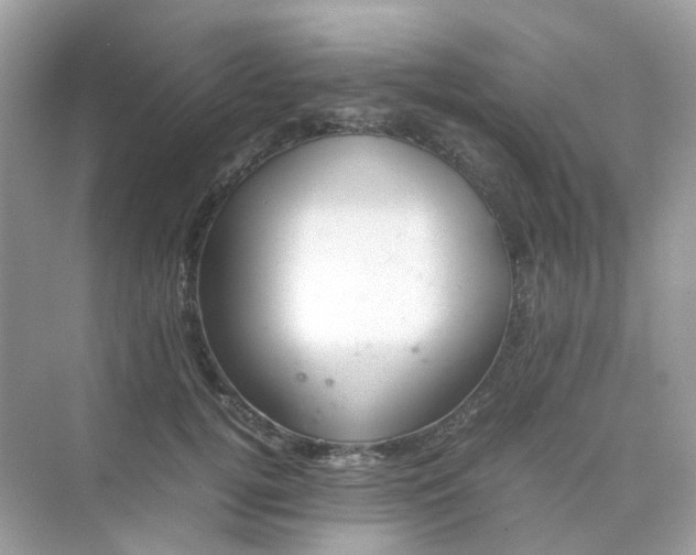 X0000075330752200609292008