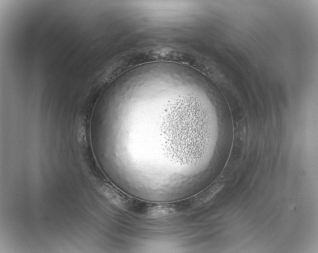 X0000075330754200609292008