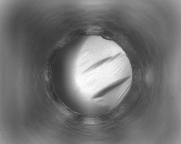 X0000075330755200609292008