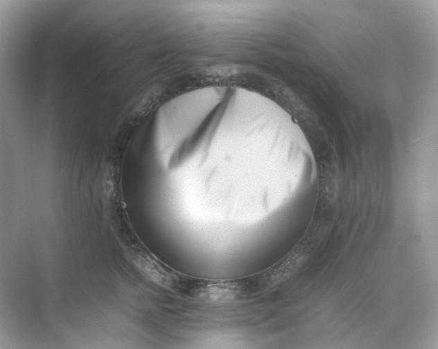 X0000075330758200609292008