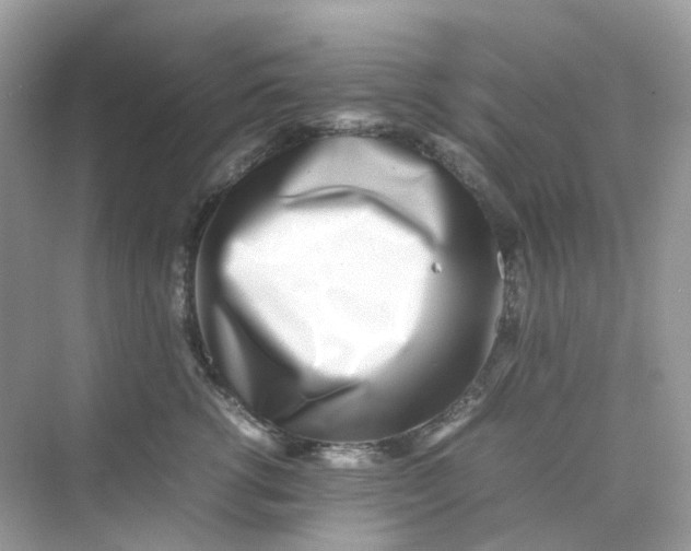 X0000075330762200609292008