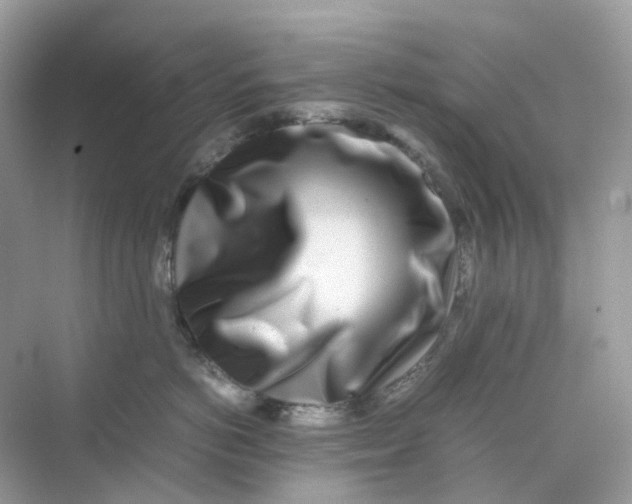 X0000075330766200609292008