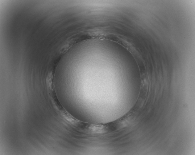 X0000075330767200609292008