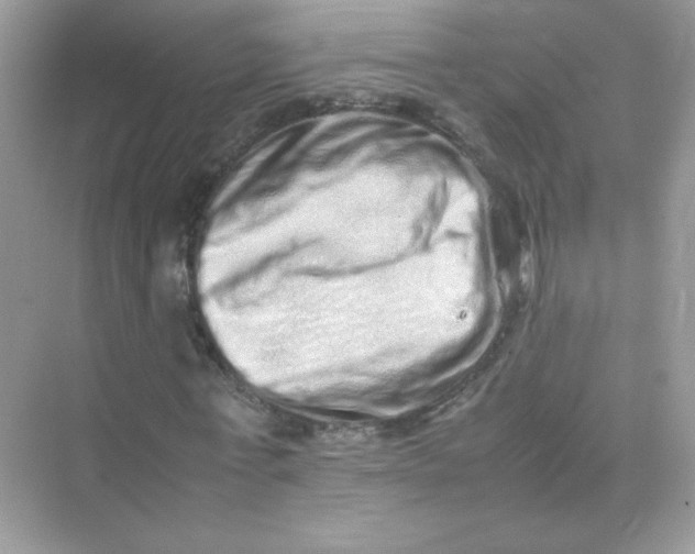 X0000075330771200609292007