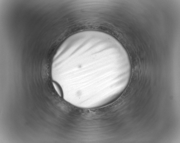 X0000075330772200609292007