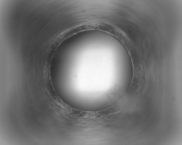 X0000075330773200609292007