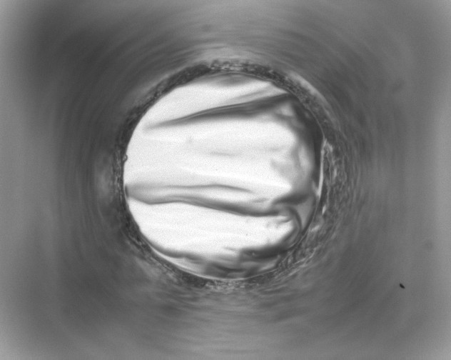 X0000075330775200609292007