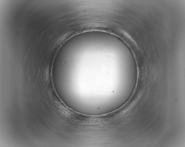 X0000075330777200609292007