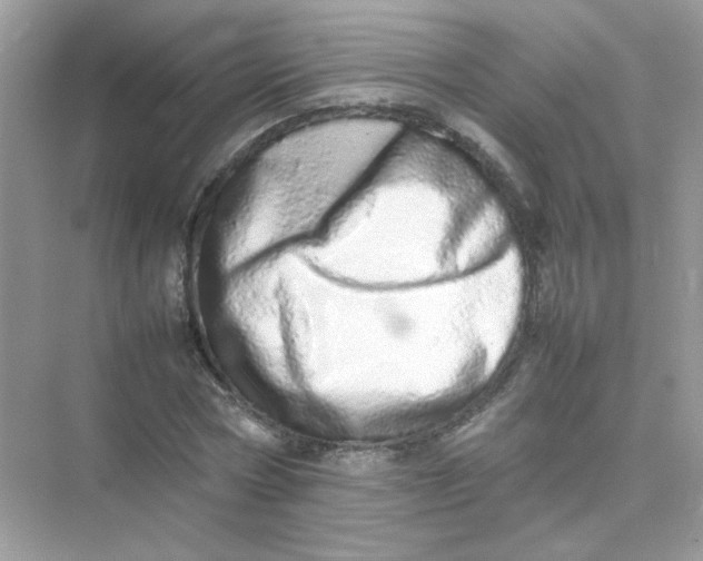 X0000075330778200609292007