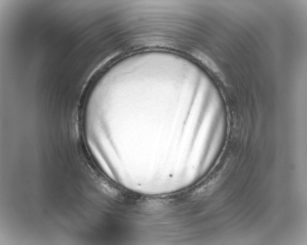 X0000075330782200609292007