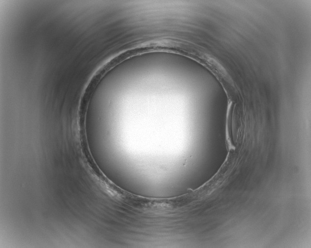 X0000075330784200609292007