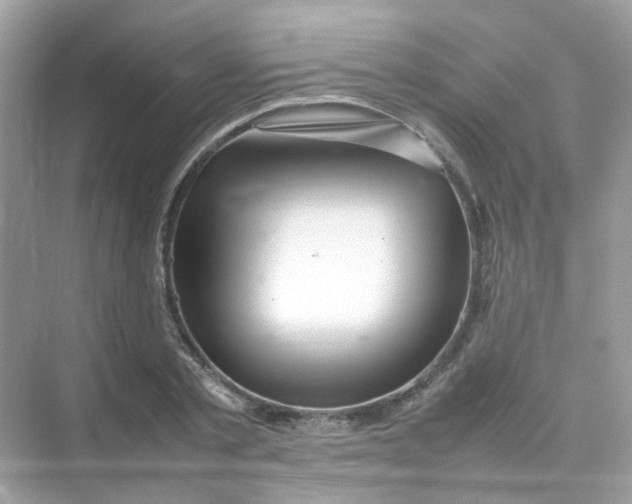 X0000075330789200609292007