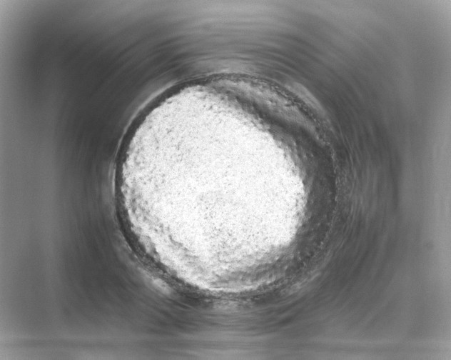 X0000075330790200609292007