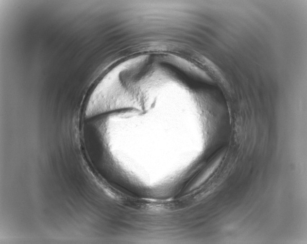 X0000075330794200609292007