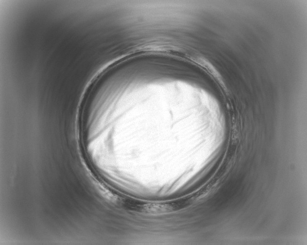X0000075330795200609292007