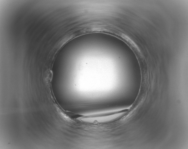 X0000075330801200609292007