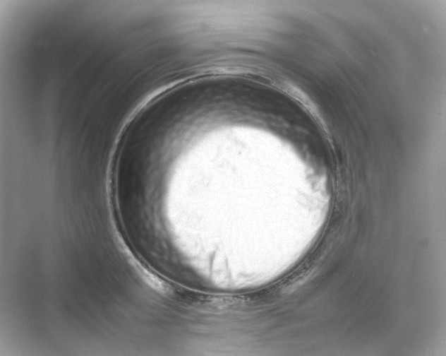 X0000075330803200609292007