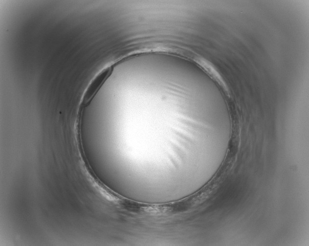 X0000075330805200609292007