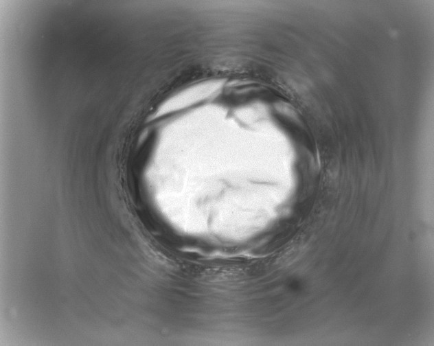 X0000075330817200609292006