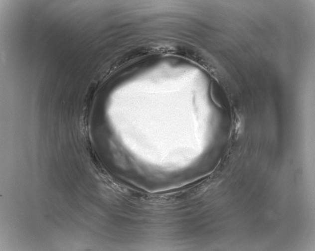 X0000075330819200609292006