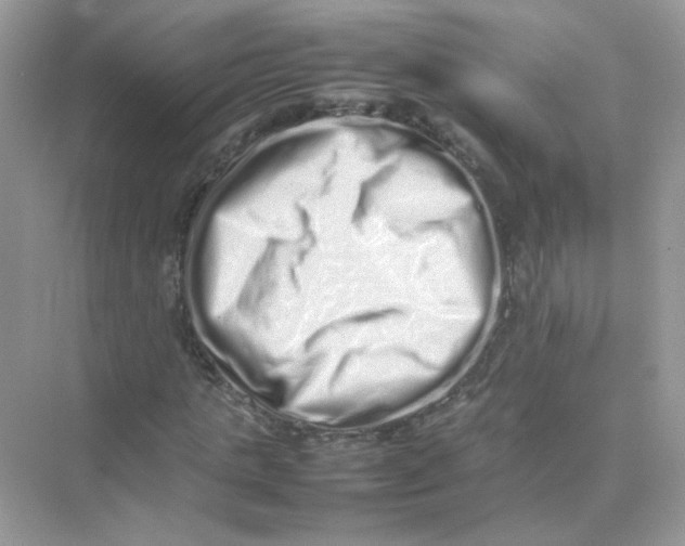 X0000075330821200609292006