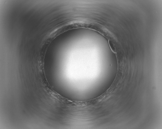 X0000075330822200609292006