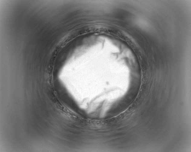 X0000075330823200609292006
