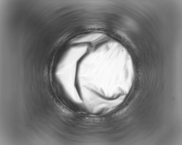X0000075330825200609292006