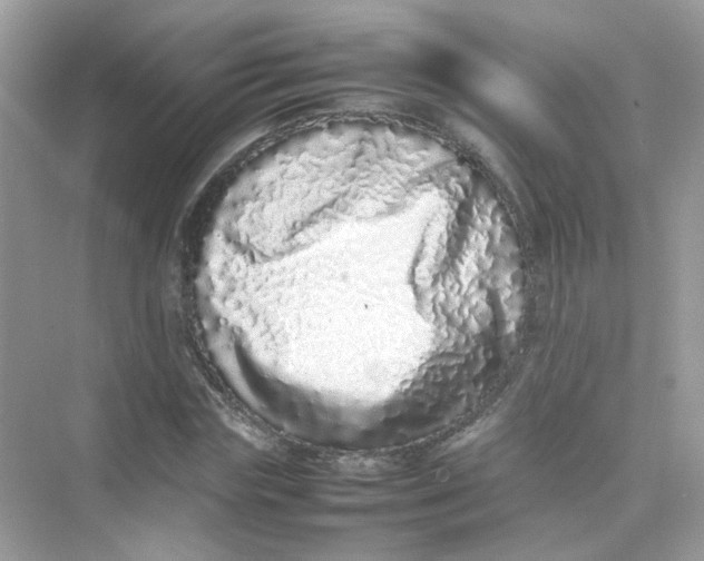 X0000075330827200609292006