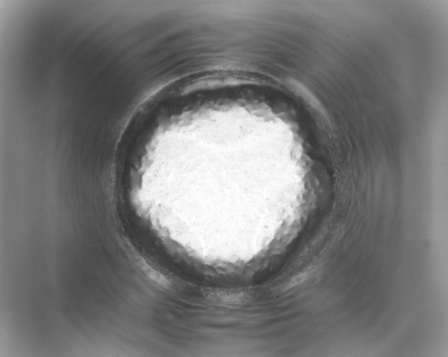 X0000075330831200609292006