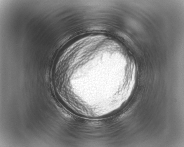 X0000075330833200609292006