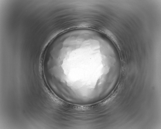 X0000075330835200609292006