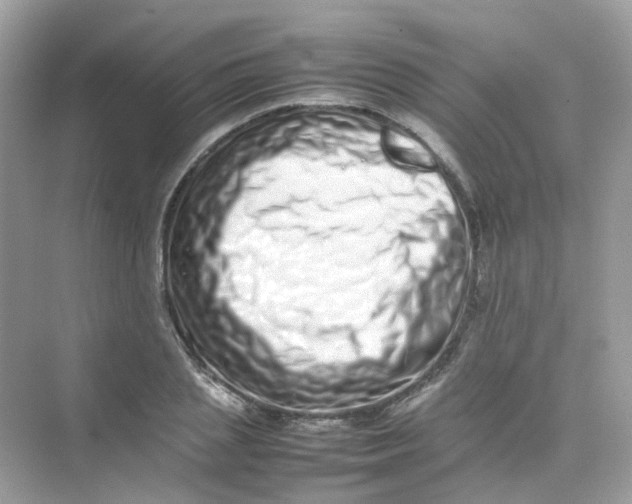 X0000075330837200609292006