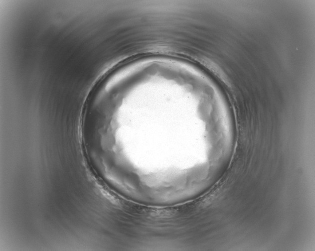 X0000075330839200609292006