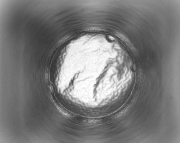 X0000075330841200609292006