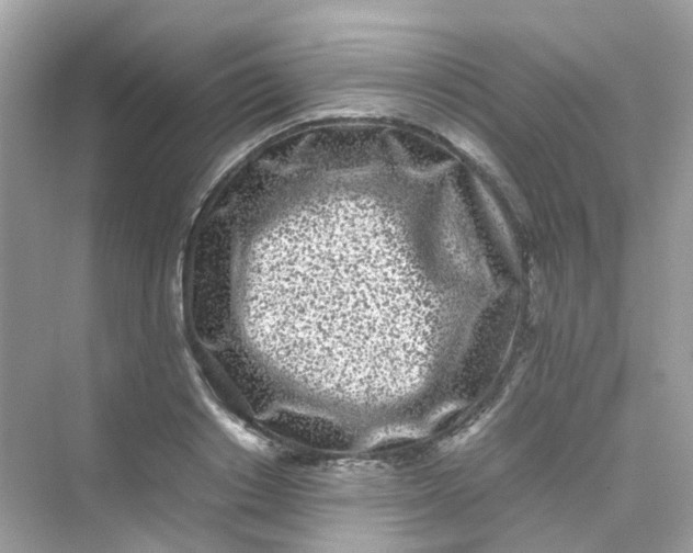 X0000075330842200609292006