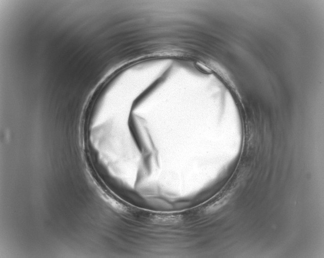 X0000075330843200609292006