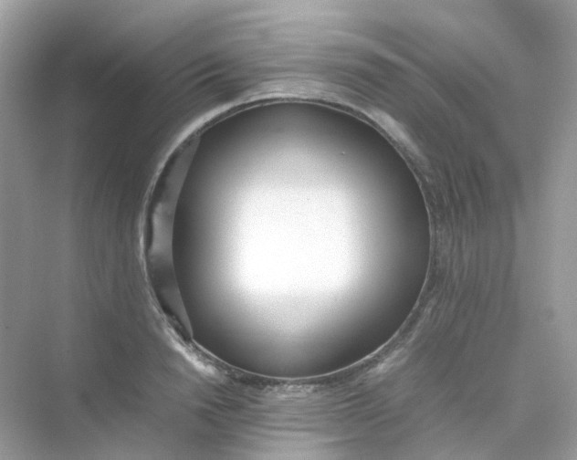 X0000075330846200609292006