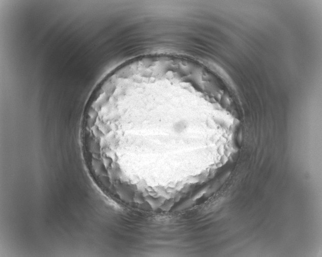 X0000075330847200609292006