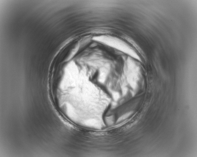 X0000075330853200609292006