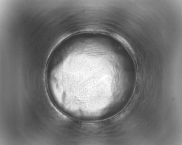X0000075330855200609292006