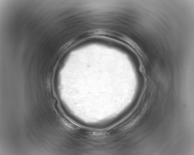 X0000075330857200609292006