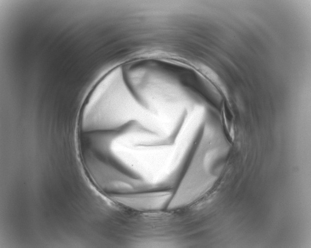 X0000075330863200609292007
