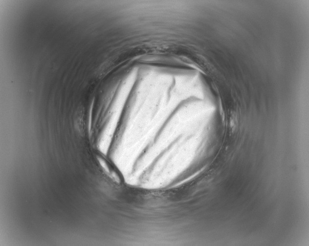 X0000075330867200609292006