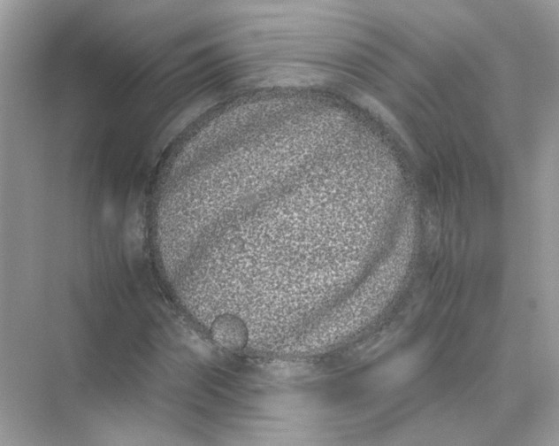 X0000075330874200609292006