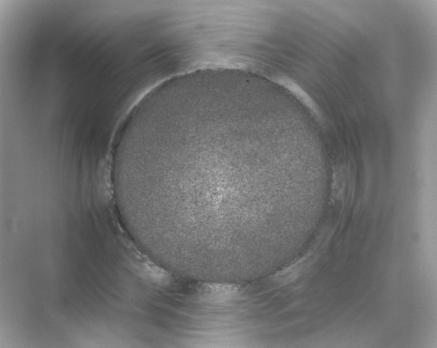 X0000075330878200609292006
