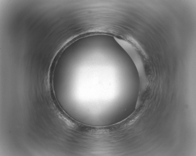 X0000075330884200609292005