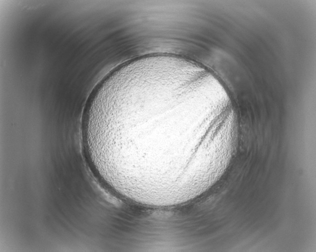 X0000075330890200609292005