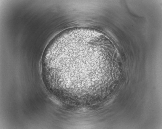X0000075330891200609292005